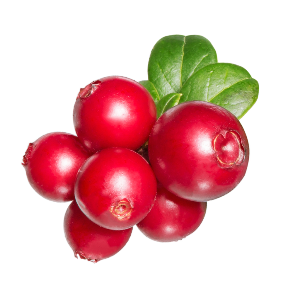 Cranberry-extract
