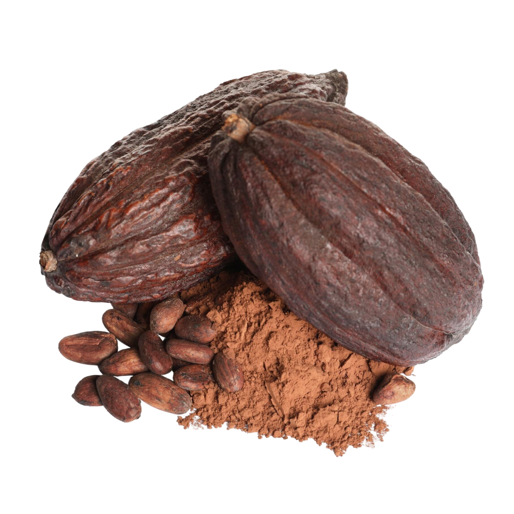 Cacao extract