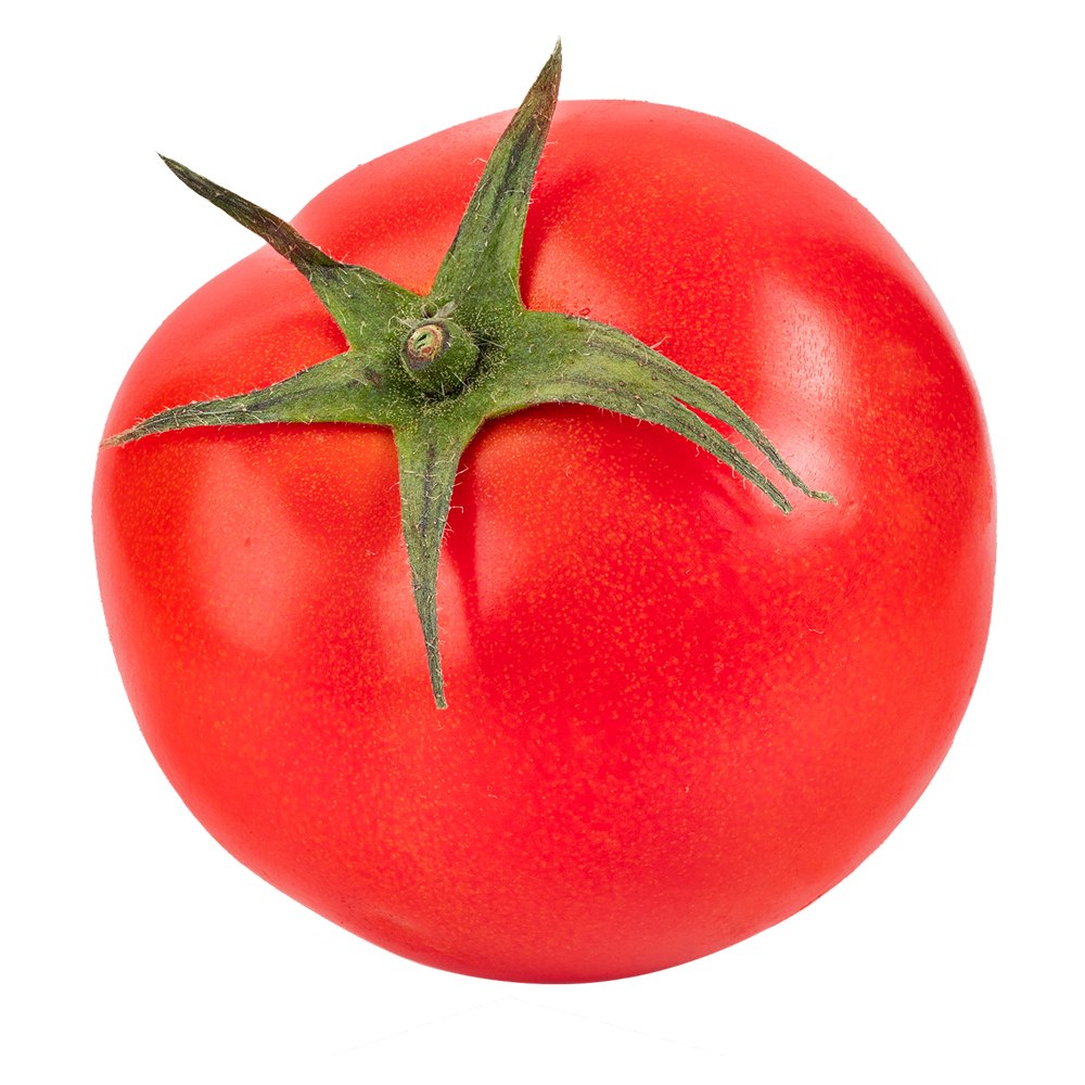 Tomatenextract